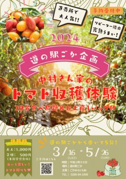 【事前予約制】道の駅ごか 中村さん家のミニトマト収穫体験